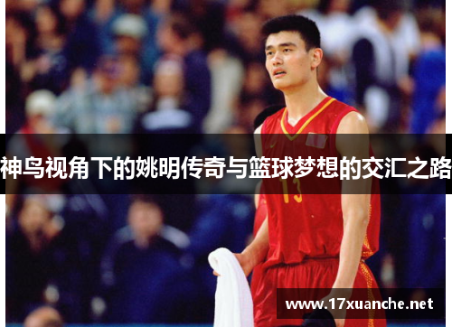 神鸟视角下的姚明传奇与篮球梦想的交汇之路