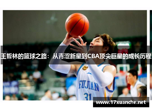 王哲林的篮球之路：从青涩新星到CBA顶尖巨星的成长历程